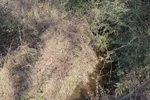 11266 Fm 344 W, Bullard, TX 75757 - Photo 6