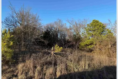 13358 Nance Ln, Lindale, TX 75771 - Photo 4