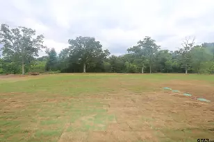 16511 Cooper Wy, Tyler, TX 75703 - Photo 44