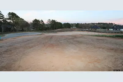 14176 Lexi Court, Tyler, TX 75703 - Photo 28