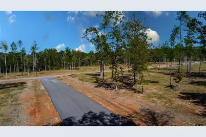 15483 Aniston Ln - (Lot 1), Flint, TX 75762 - Photo 14