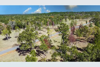 15483 Aniston Ln - (Lot 1), Flint, TX 75762 - Photo 18