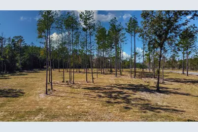 15537 Aniston Ln - (Lot 2), Flint, TX 75762 - Photo 2