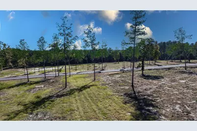 15703 Aniston Ln - (Lot 5), Flint, TX 75762 - Photo 30