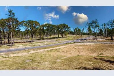 15703 Aniston Ln - (Lot 5), Flint, TX 75762 - Photo 28