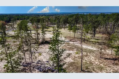 16111 Aniston Ln - (Lot 14), Flint, TX 75762 - Photo 30