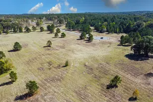 15868 Aniston Ln Lot 21, Flint, TX 75762 - Photo 1