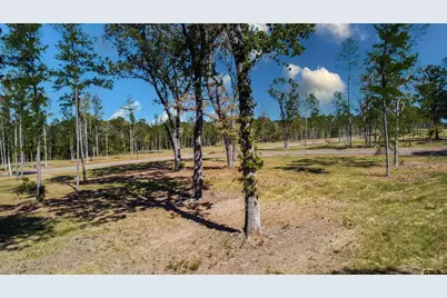 15640 Aniston Ln - (Lot 25), Flint, TX 75762 - Photo 20