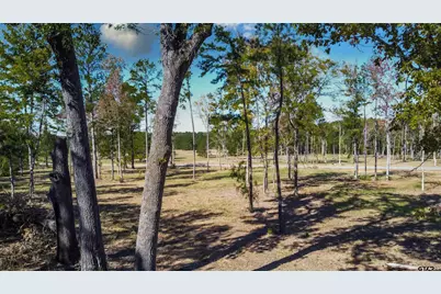 15538 Aniston Ln - (Lot 27), Flint, TX 75762 - Photo 6