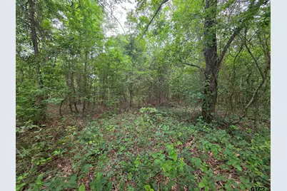 0000 Hwy 69, Alba, TX 75410 - Photo 16