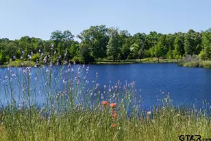 7 Lakeside Dr, Montalba, TX 75853 - Photo 4