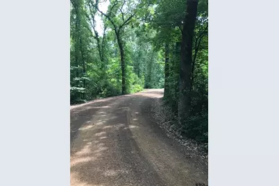 19 Lakeside Dr., Montalba, TX 75853 - Photo 4