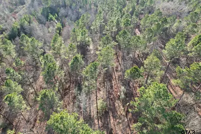 Tbd-A County Road 216, Beckville, TX 75631 - Photo 2