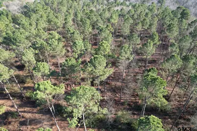 Tbd-A County Road 216, Beckville, TX 75631 - Photo 6