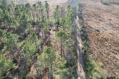 Tbd-A County Road 216, Beckville, TX 75631 - Photo 4