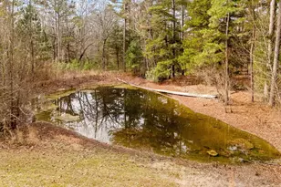 10614 Cr 214, Tyler, TX 75707 - Photo 32