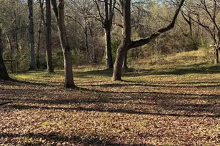 20519 Hwy 69, Alto, TX 75925 - Photo 4