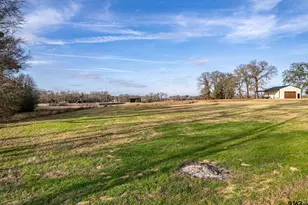 21404 Memory Ln, Bullard, TX 75757 - Photo 6