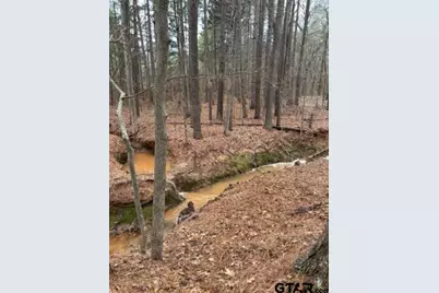 197 Cr 4130D, Overton, TX 75684 - Photo 48