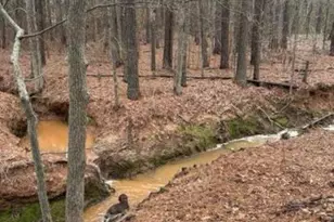 197 Cr 4130D, Overton, TX 75684 - Photo 48