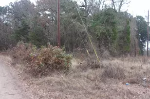 000 Briar Valley, Murchison, TX 75778 - Photo 1