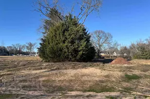 14001 Cedar Hill Ln (Lindale Isd), Tyler, TX 75704 - Photo 1