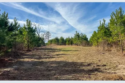 Tbd Shady Grove Road, Jefferson, TX 75657 - Photo 26