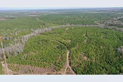 Tbd Shady Grove Road, Jefferson, TX 75657 - Photo 4