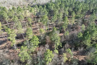Tbd-D County Road 216, Beckville, TX 75631 - Photo 2