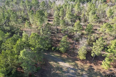 Tbd-D County Road 216, Beckville, TX 75631 - Photo 4