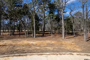 Lot 12 Deer Lake Ln, Bullard, TX 75757 - Photo 10