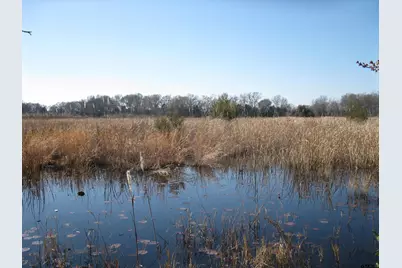 Tbd 133+/- Acres Cr 4701, Ben Wheeler, TX 75754 - Photo 1