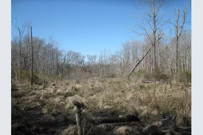 Tbd 133+/- Acres Cr 4701, Ben Wheeler, TX 75754 - Photo 20