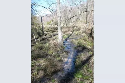 Tbd 133+/- Acres Cr 4701, Ben Wheeler, TX 75754 - Photo 18