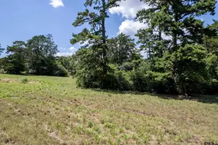 13174 County Rd 434, Lindale, TX 75771 - Photo 24