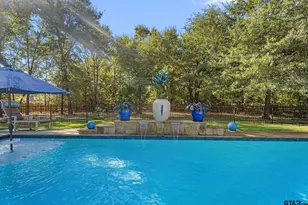 237 County Rd 2321, Mineola, TX 75773 - Photo 34