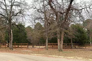 237 County Rd 2321, Mineola, TX 75773 - Photo 44