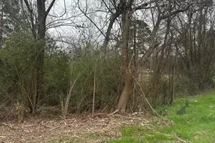 Tbd Cr 1804, Jacksonville, TX 75766 - Photo 1