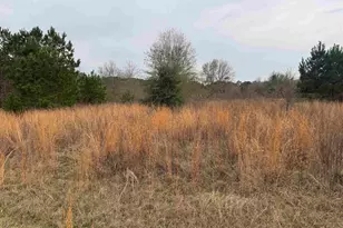 1335 San Saba, Bullard, TX 75757 - Photo 6