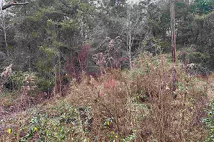 1150 Brazos, Bullard, TX 75757 - Photo 6