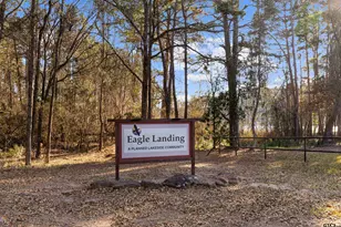 80 Co Rd 1597, Avinger, TX 75630 - Photo 44