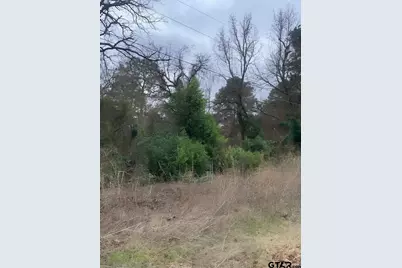 22781 Dogwood Trail, Flint, TX 75762 - Photo 2