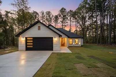 16971 Mary Martin Dr., Flint, TX 75762 - Photo 1