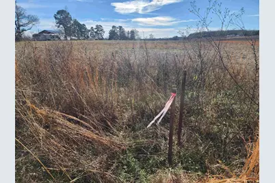 388 Cr 3211, Pittsburg, TX 75686 - Photo 4