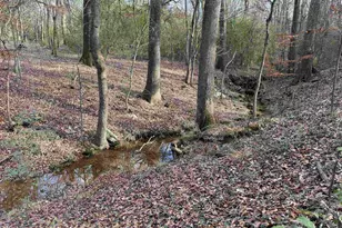 18235 County Rd 295, Arp, TX 75750 - Photo 44