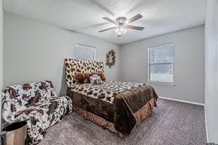 253 Co Rd 2425, Mineola, TX 75773 - Photo 26