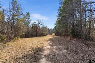 Tbd Hwy 135, Troup, TX 75789 - Photo 1