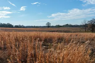 6008 FM 344, Bullard, TX 75757 - Photo 32