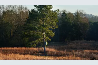 6008 Fm 344, Bullard, TX 75757 - Photo 20