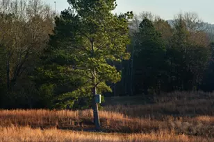 6008 FM 344, Bullard, TX 75757 - Photo 20